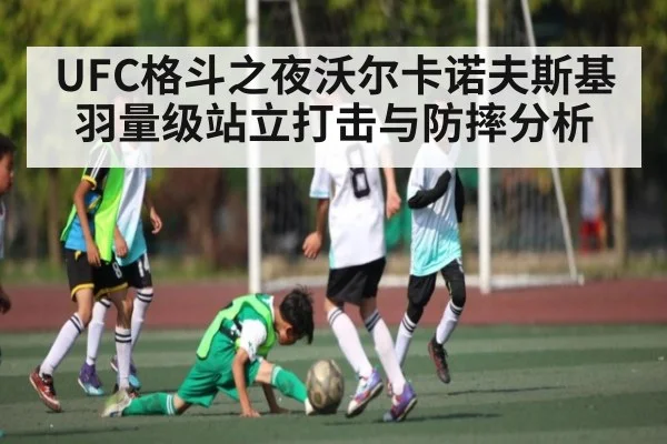UFC格斗之夜沃尔卡诺夫斯基羽量级站立打击与防摔分析