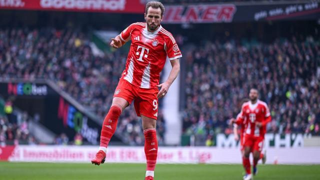 1771149792315036780.jpg 1771149792315036780.jpg